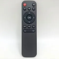 F1271◆保証あり 〒 未使用 AOERUOW L02RC 交換用リモコン Lisowod L02 Salange P アウトレット