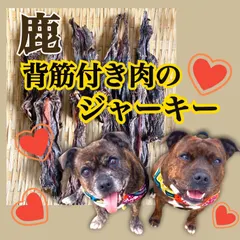 【🦌一頭からわずか】大分県耶馬溪産 天然日本鹿 背筋付きお肉のジャーキー 大きめ、肉厚 🌟100g 14〜16cm  送料無料