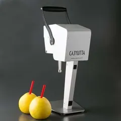【新品未開封】CJT30400W　カジュッタ CAJYUTTA　果汁搾り機　CJT3-04　ホワイト 新着