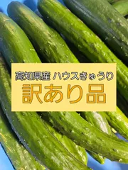 【朝採れ】※訳あり品※ 農家直送 きゅうり 約3kg🥒 当日収穫・即日発送 セール