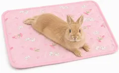 中古 TiDaOne うさぎ マット ケージ ベッド チンチラ モルモット 小動物 滑り止め (ピンク,  約30x42cm) 即納