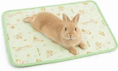 TiDaOne うさぎ マット ケージ ベッド チンチラ モルモット 小動物 滑り止め (グリーン,  約30x42cm アウトレット