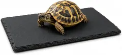 【期間限定】TiDaOne 亀 溶岩 プレート 床材 陸地 リクガメ レオパ 保温 保湿 (ブラック,  スクエア20x30cm)