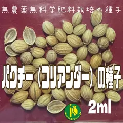 中古 パクチーの種子 2ml  コリアンダー・香菜・固定種・コンパニオンプランツとしても有益　無農薬・無化学肥料栽培のタネ 即納