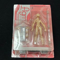 【未開封】 figma アーキタイプ シー(女) フレッシュカラー 01♀＋ホビーベース素材ちゃんM２個