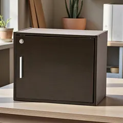 鍵付き 収納棚 ボックス A4対応 ラック 収納ボックス 収納ラック 収納家具  扉付き カラーボックス リビング 寝室  ゼウス ブラウン[離島配送不可]