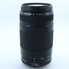 Canon EF 75-300mm F4-5.6 Ⅱ USM 〔キヤノン EF マウント〕 アウトレット