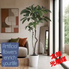 【期間限定】光触媒　人工観葉植物　ウォールグリーン　フェイクグリーン　ブラッサイア150@@