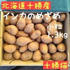 じゃがいも インカのめざめ 1.3㎏ 北海道産地直送 新着