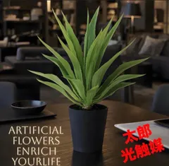 【激安】光触媒　人工観葉植物　ウォールグリーン　フェイクグリーン　アガベ・アメリカーナ@@