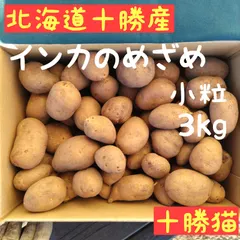じゃがいも インカのめざめ 3㎏ 北海道産地直送 新着