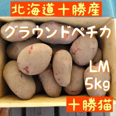 【即納】じゃがいも グラウンドペチカ 5㎏ 北海道産地直送