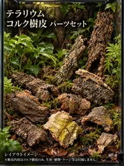【L11222】【数量限定！現品セット！】天然コルク樹皮 テラリウム・ケージ用 パーツセット｜在庫あり