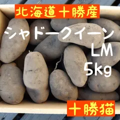 じゃがいも シャドークイーン 5㎏ 北海道産地直送 送料無料