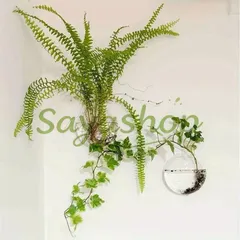 ウォールプランター 壁掛け花瓶 フラワーベース 花瓶 プランター 水耕栽培 ポット おしゃれ ナチュラル 壁掛け 透明花 セール