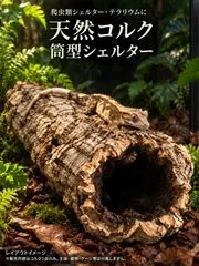 【L11300】【現品販売！大きめ筒型！】天然コルク 爬虫類シェルター・テラリウムパーツ｜在庫あり