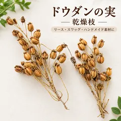 ドウダンの実 乾燥枝 ドライ素材 リース スワッグ ハンドメイド｜在庫あり
