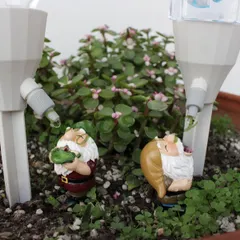 新品未使用 小矮人盆栽用花器 自動給水式栽培器 花?植物?花卉用栽培容器 送料無料