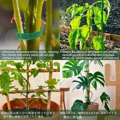 【100本セット】園芸用結束バンド 6インチ 調節可能 滑り止め ナイロン製 面ファスナー付き グリーン つる性植物・支｜在庫あり