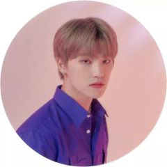 중고 シール・ステッカー ディノ SEVENTEEN クリアステッカー 「CD An Ode VER.1/Begin 」 封入特典