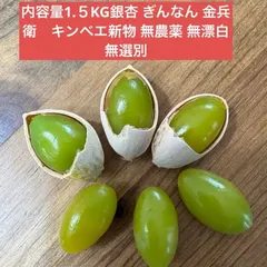 内容量1.５KG  無選別 　銀杏 ぎんなん 金兵衛（キンベエ）新物 無農薬 無漂白 送料無料