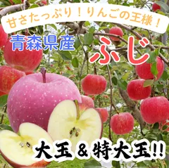 ★期間限定★青森県産 ふじ りんご 大玉＆特大玉 贈答用（金特選） 6~8玉 新着