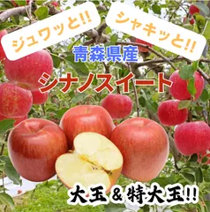 【期間限定】★期間限定★青森県産 シナノスイート りんご 大玉＆特大玉 贈答用（金特選） 6~8玉 ㊴