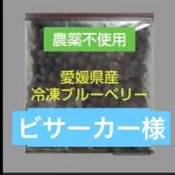 【期間限定】ビサーカー様専用　3キロ