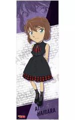 중고 ポスター 灰原哀 「名探偵コナン ポス×ポスコレクション vol.9」