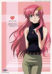 중고 포스터 애니메이션 B4 미니 클리어 포스터 D 럭스 클라인 "기동전사 건담 SEED DESTINY "