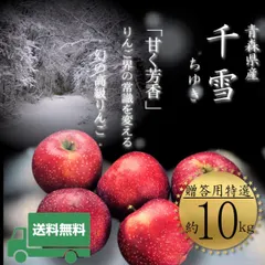 【即納】青森県産 ＂ 千雪 ＂  りんご【贈答用特選10kg】【化粧箱】【送料無料】【産地直送】お歳暮  ギフト リンゴ   林