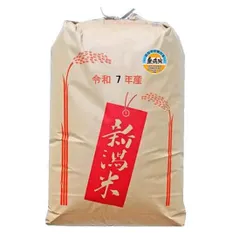 【無洗米】もち米 令和7年産新潟県産わたぼうし 精米 30kg 送料無料