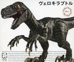 【新品】プラモデル きょうりゅう編 ヴェロキラプトル 「自由研究シリーズ No.3」 [171142] 送料無料