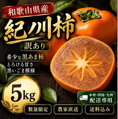 【激安】【数量限定】訳あり 紀ノ川柿 黒あま柿 5キロ 和歌山県産 農家直送