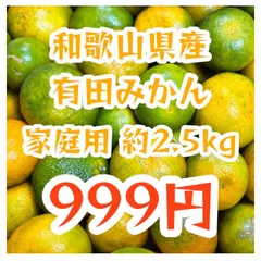 【送料無料】和歌山県産 有田みかん 約2.5kg（箱込み）サイズ混合　箱いっぱい！訳あり・家庭用