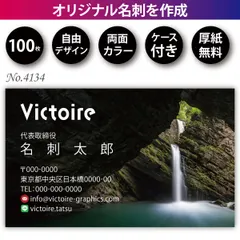 名刺作成 名刺印刷 100枚 両面 フルカラー 紙ケース付 No.4134 アウトレット