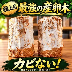 【即納】最強のクワガタ産卵木　極上品！植菌カワラタケ材【2本】カビない！加水不用ですぐに使える！タランドゥス　レギウス　オウゴン