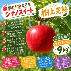【朝日町和合平産】シナノスイート　9キロ　ご家庭用　りんご　サイズミックス 新着
