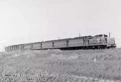 【中古】鉄道模型 1/150 夜行鈍行 からまつ 9両セット [10-1880] 送料無料