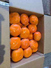 【激安】柿、和歌山産の刀根早生柿です。