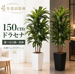 【生花店監修】 フェイクグリーン ドラセナ 150cm 大型 観葉植物 フェイク 造花 鉢付き 人工観葉植物 　ブラック 送料無料