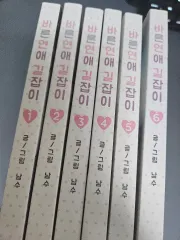 中古 正しい恋愛 道案内 1 - 6 巻 即納