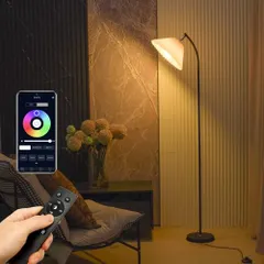 【期間限定】LEDフロアランプ、リモコンとアプリコントロール付き、無段階RGB調整可能1600万色、ダイナミックライト、タイマー設定