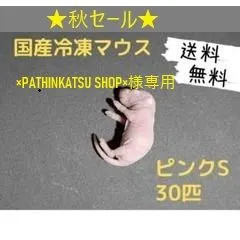 ×PATHINKATSU SHOP×様専用国産冷凍マウス ピンクS 30匹（送料無料一部地域発送不可) アウトレット