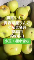 【即納】青森県産りんご　ぐんま名月　小玉・極小含む　家庭用梱包材5キロ