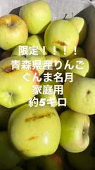 青森県産りんご　ぐんま名月　訳アリ　梱包材込み5キロ セール