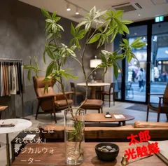 光触媒　観葉植物　ウォールグリーン　フェイクグリーン　マジカルウォーター7651@@ 送料無料
