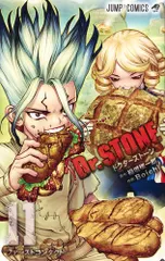 Ｄｒ．ＳＴＯＮＥ １１/集英社/稲垣理一郎（コミック） アウトレット