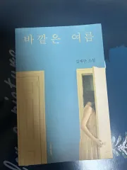キム・エラン 小説 外は夏 本 ベストセラー 新着
