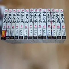 蒼天の拳 原哲夫 全巻セット 送料無料